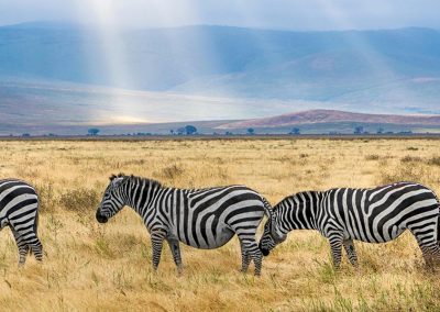 Tanzania